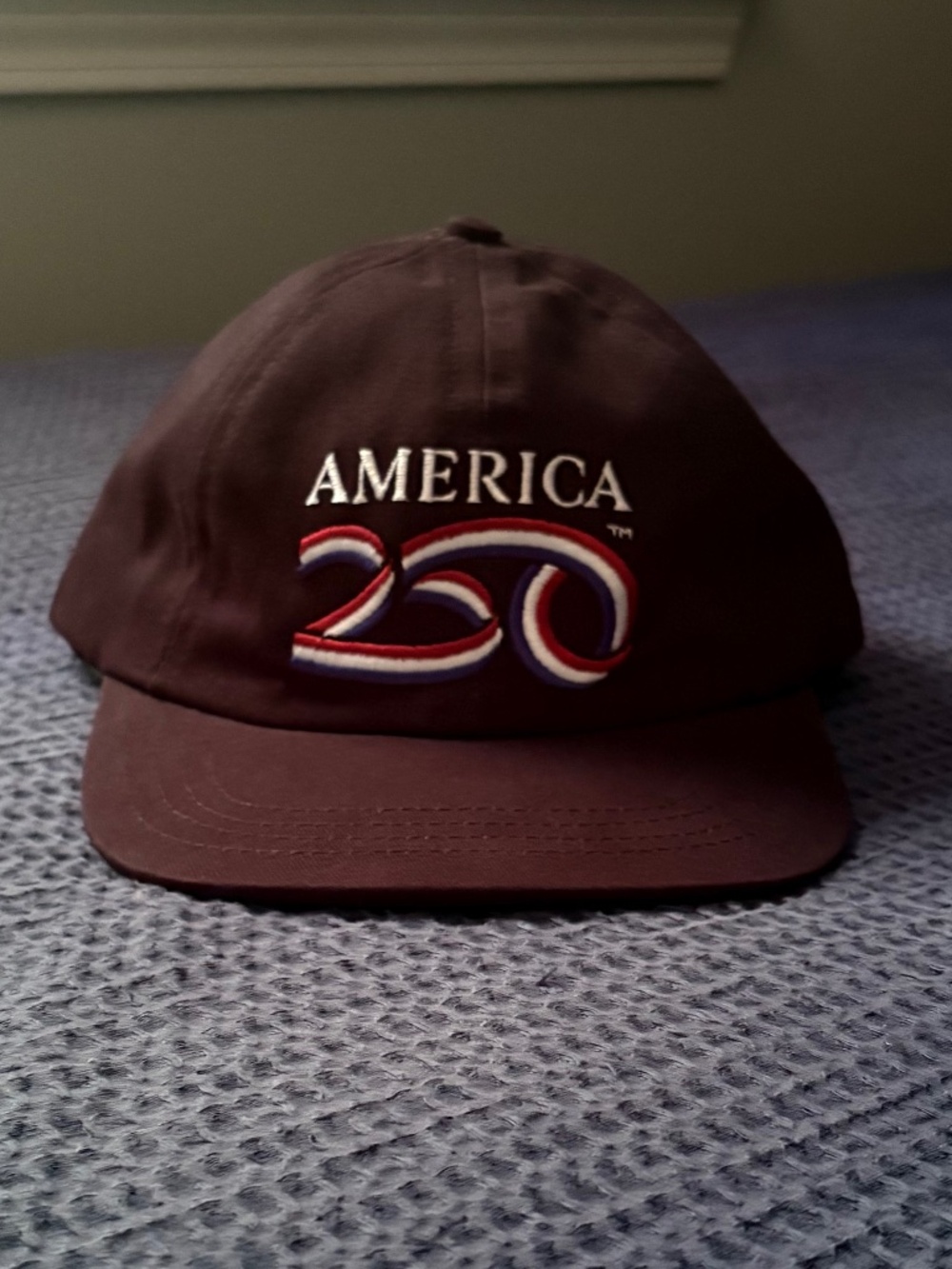 America 250 Navy Hat